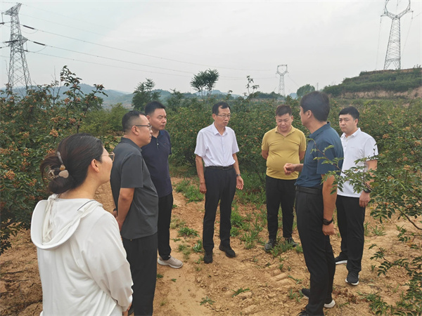 微信图片_20240708081516_副本_副本.jpg 微信图片_20240708081516_副本_副本.jpg