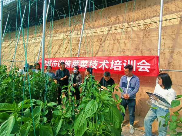 微信图片_20240708092621_副本.jpg 微信图片_20240708092621_副本.jpg