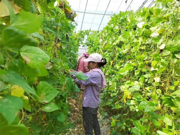 微信图片_20240719090605.jpg 微信图片_20240719090605.jpg
