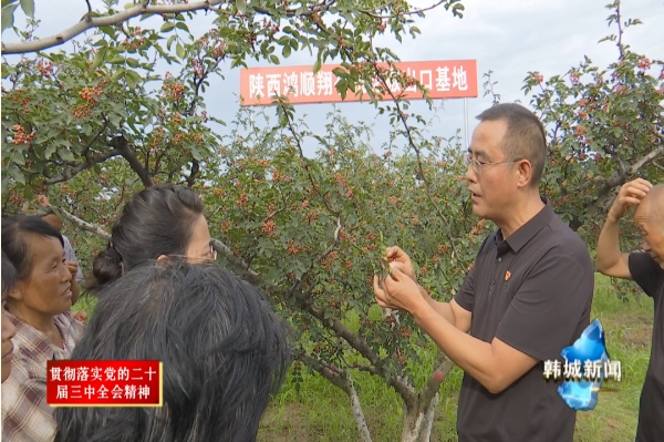 微信截图_20240729114143.png 微信截图_20240729114143.png