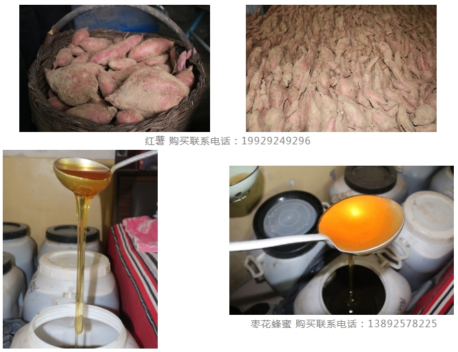 微信截图_20241114084441.png 微信截图_20241114084441.png