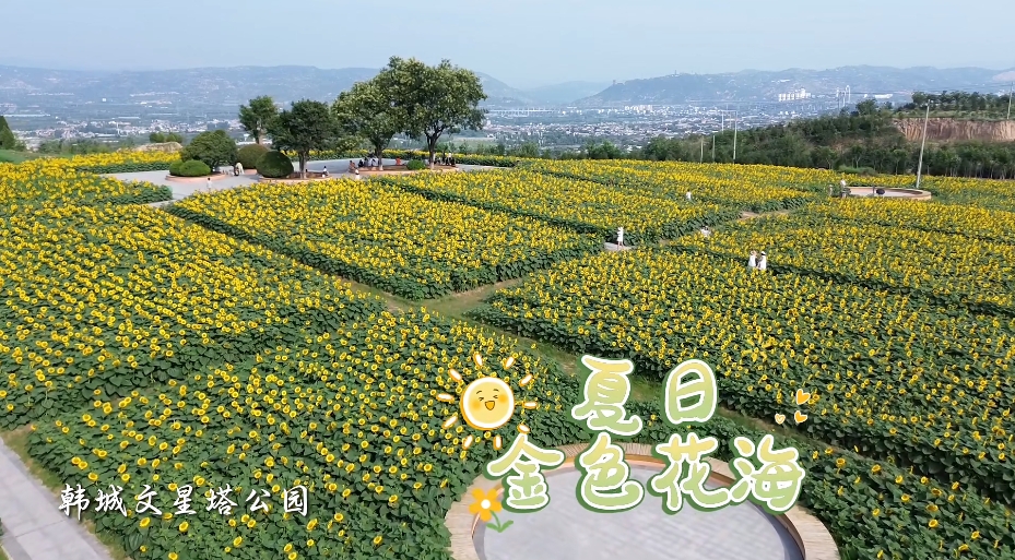 ΢�Ž�ͼ_20250804095737.png
