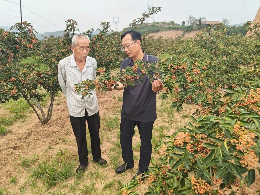 微信图片_20250828082458.jpg 微信图片_20250828082458.jpg