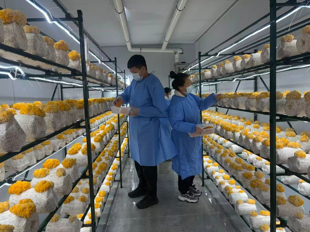 微信图片_2025-12-25_084734_854.jpg 微信图片_2025-12-25_084734_854.jpg