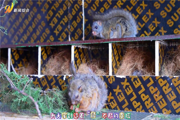微信图片_2025-12-30_092304_497.jpg 微信图片_2025-12-30_092304_497.jpg