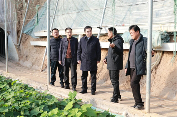 微信图片_20260108081859_副本.jpg 微信图片_20260108081859_副本.jpg