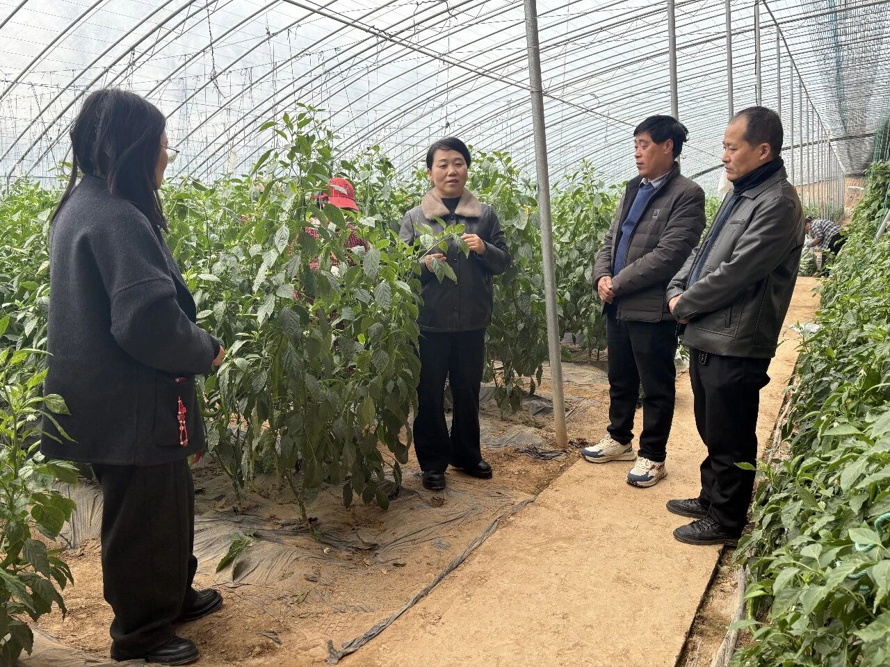微信图片_20260227085734.jpg 微信图片_20260227085734.jpg