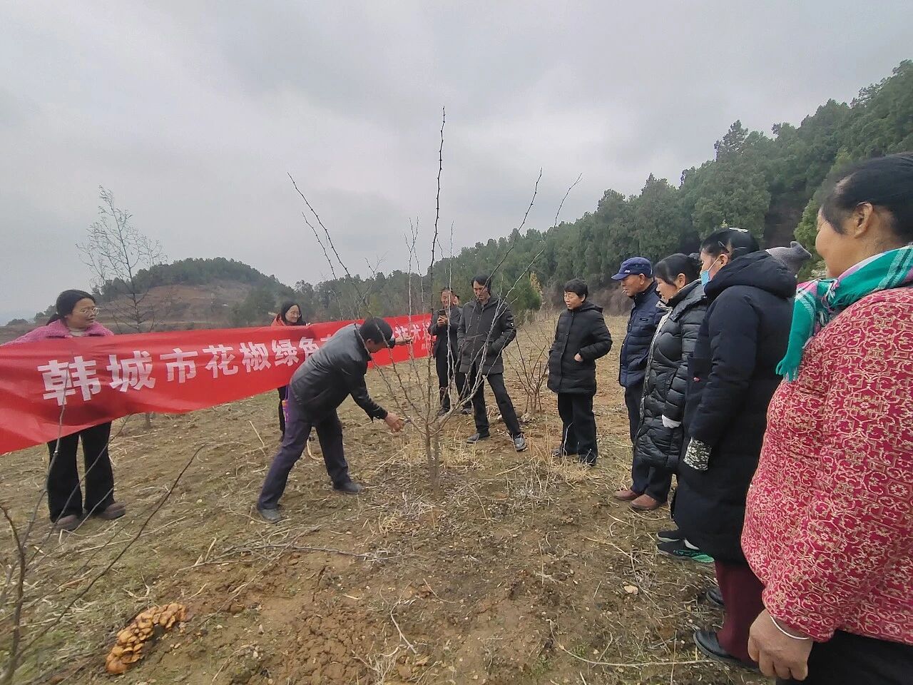 微信图片_20260228082013.jpg 微信图片_20260228082013.jpg
