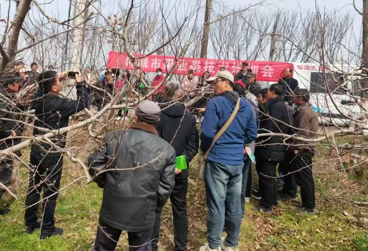 微信图片_20260325090014.jpg 微信图片_20260325090014.jpg