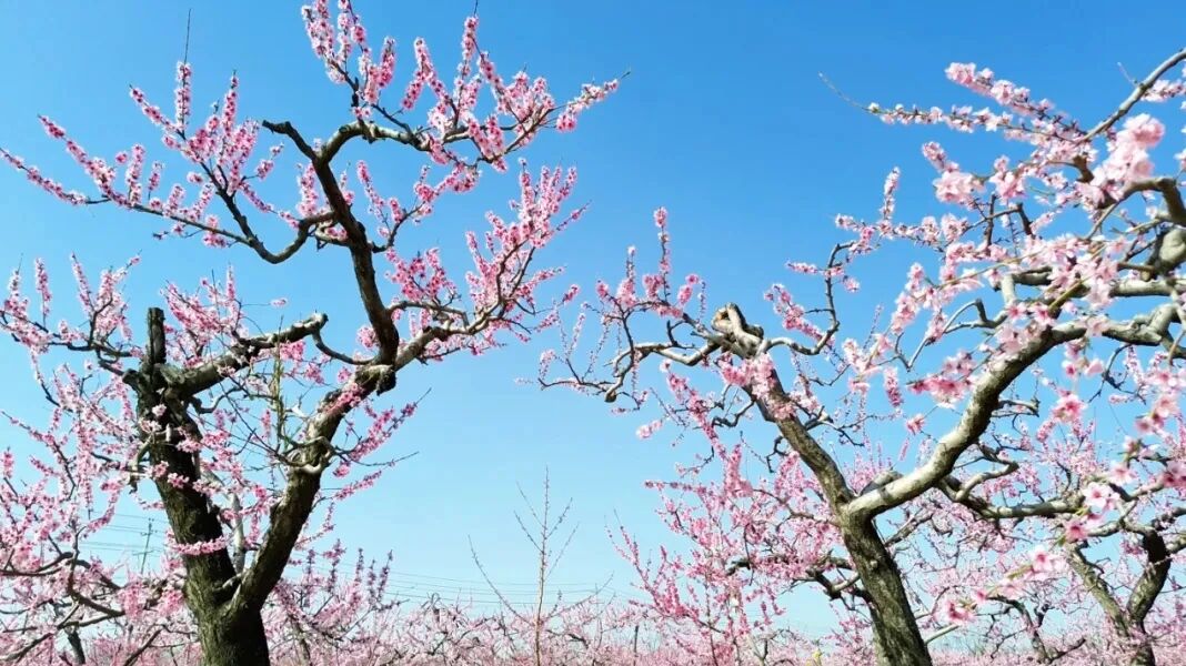 微信图片_20260407090804.jpg 微信图片_20260407090804.jpg