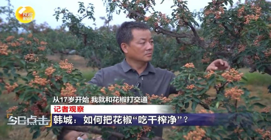 微信图片_20260515085421.png 微信图片_20260515085421.png