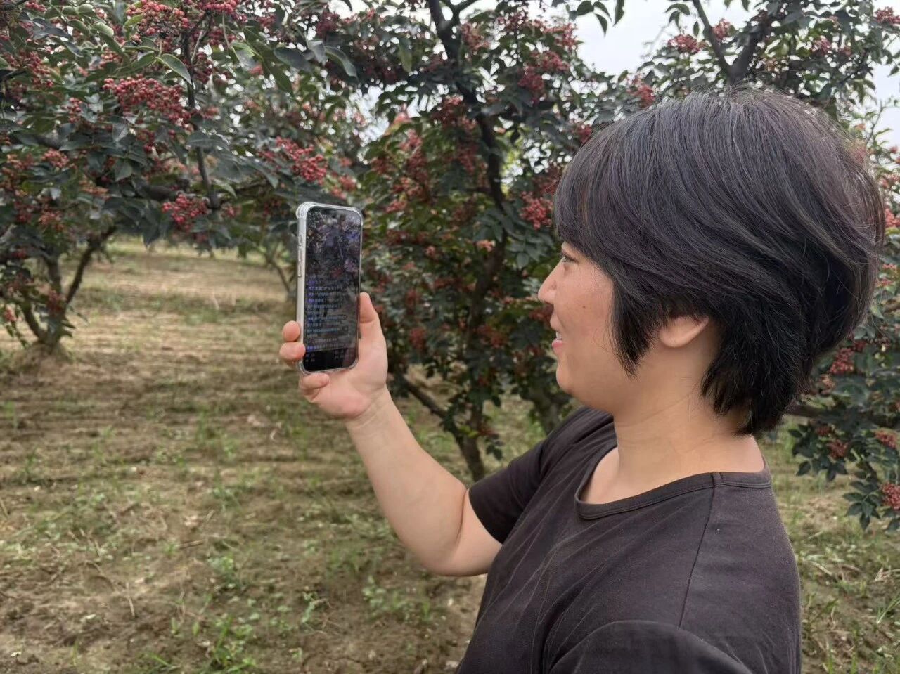 微信图片_20260824102442.jpg 微信图片_20260824102442.jpg